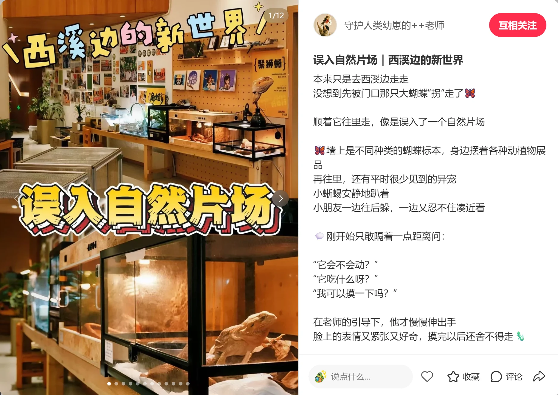 周末去哪里：环境内容