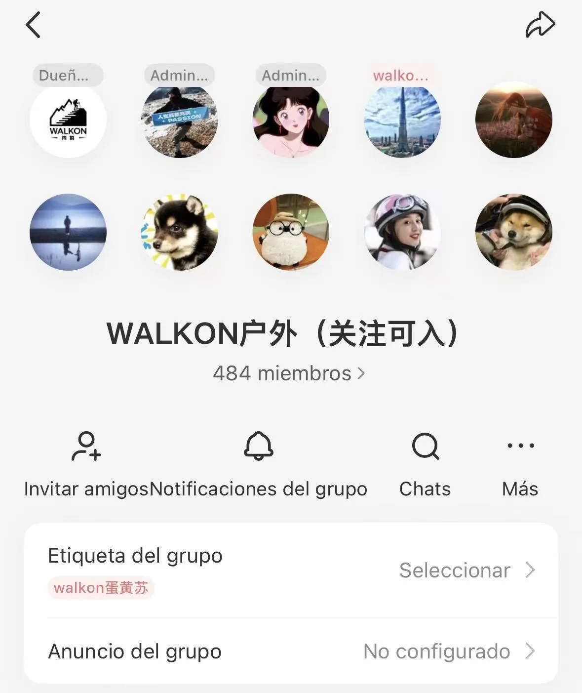 小红书群截图2